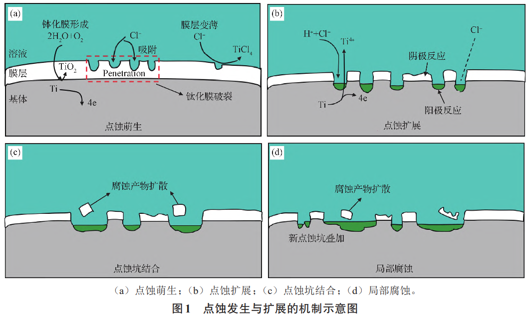 钛锻件钛棒钛板等钛合金资料的部门侵蚀类型及防护措施