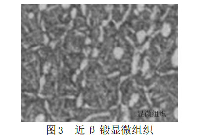 中国·1066vip威尼斯(股份)有限公司-官方网站