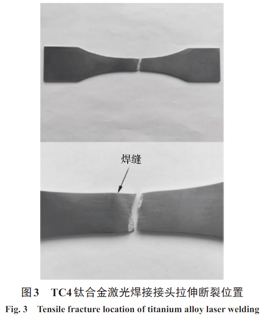 1668956661729826.jpg xt3.jpg