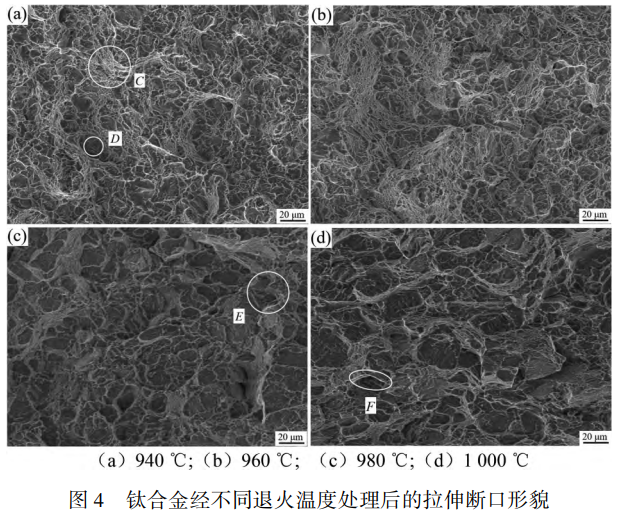 截图20250226095143.png